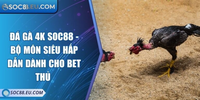 Đá Gà 4k SOC88 - Bộ Môn Siêu Hấp Dẫn Dành Cho Bet Thủ