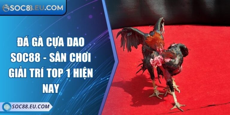Đá Gà Cựa Dao SOC88 - Sân Chơi Giải Trí Top 1 Hiện Nay