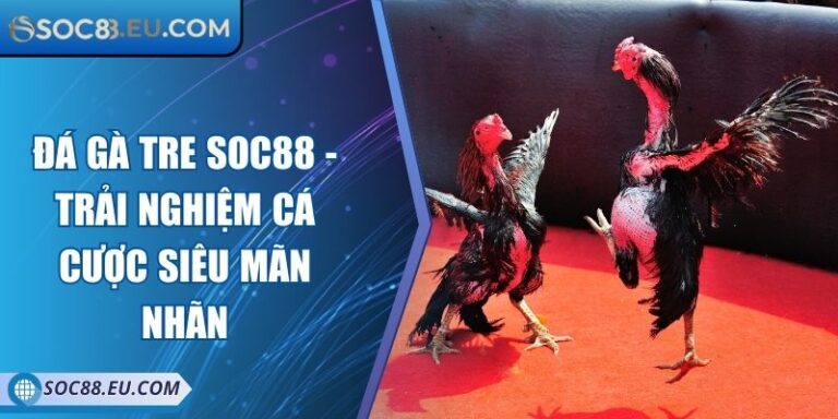 Đá Gà Tre SOC88 - Trải Nghiệm Cá Cược Siêu Mãn Nhãn